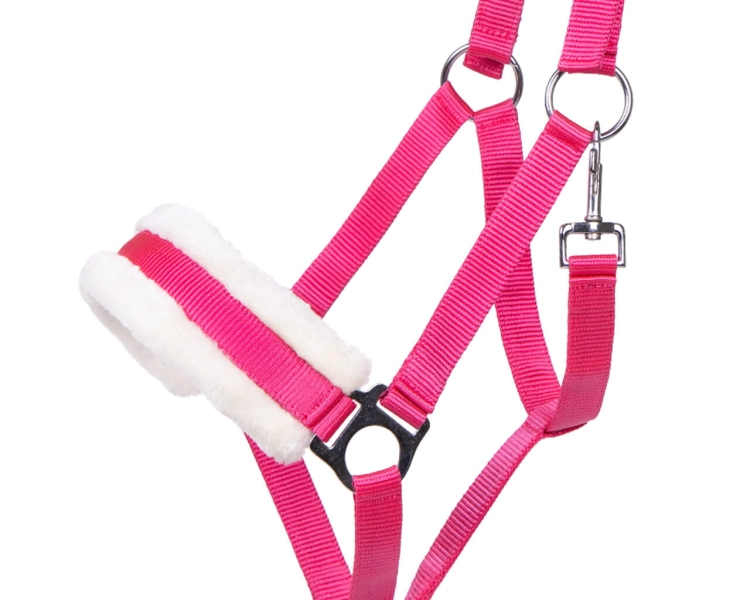 Kantar z futerkiem QHP Cali w kolorze fuchsia