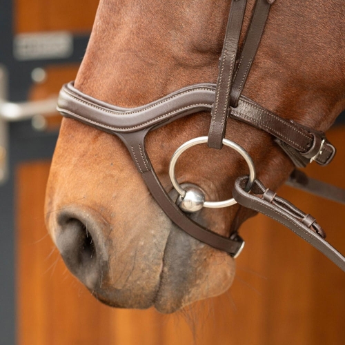 Brązowe ogłowie z anatomicznym nachrapnikiem Harry's Horse Anatomic na koniu