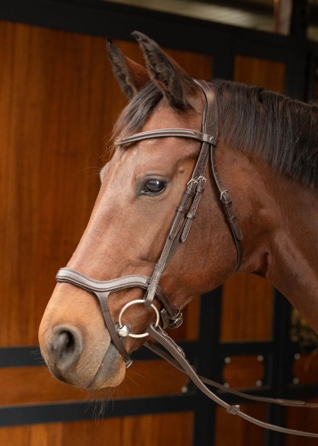 Brązowe ogłowie anatomiczne Harry's Horse Anatomic na koniu