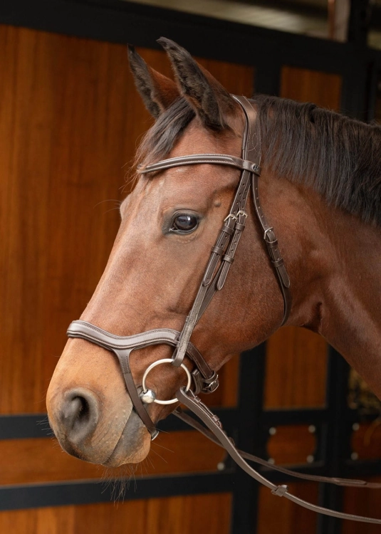 Brązowe ogłowie anatomiczne Harry's Horse Anatomic na koniu