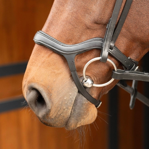 Czarne ogłowie z anatomicznym nachrapnikiem Harry's Horse Anatomic na koniu