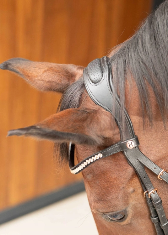 Ogłowie dla konia z anatomiczną potylicą Harry's Horse Lacque II Rosegold