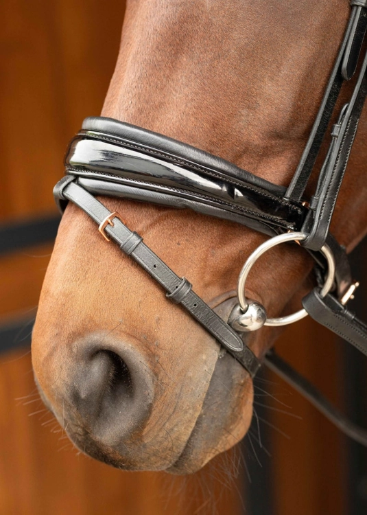 Ogłowie dla konia z lakierowanym nachrapnikiem Harry's Horse Lacque II Rosegold