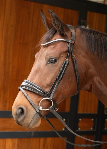 Ogłowie anatomiczne dla konia Harry's Horse Lacque II Rosegold na koniu