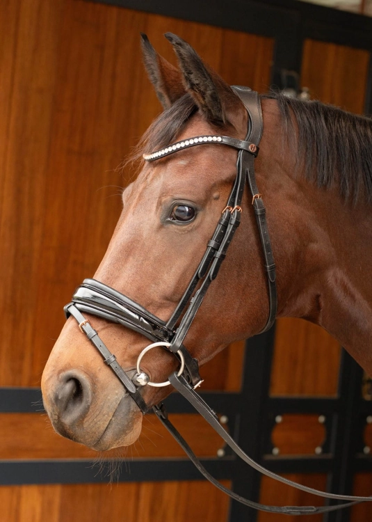 Ogłowie anatomiczne dla konia Harry's Horse Lacque II Rosegold na koniu
