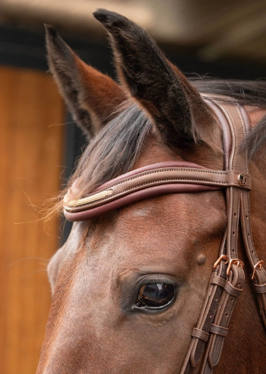 Ogłowie z naczółkiem z kryształkami Harry's Horse Bombastic w kolorze brązowym