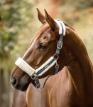 WALDHAUSEN kantar SOFT asphalt