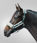 WALDHAUSEN kantar SOFT fir green