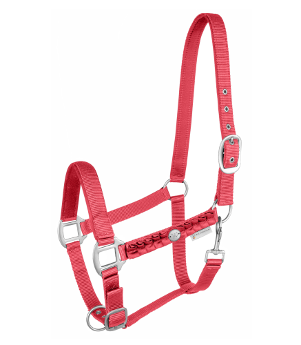 WALDHAUSEN kantar FLORENCE hibiscus