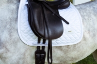 SCHOCKEMOHLE czaprak CRYSTAL Brilliance white 24H 