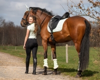 QHP breginsy jeździeckie EDEN black