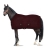 Derka polarowa Horze Kiel w kolorze Dark Red na koniu