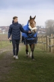 Kurtka do jazdy konnej męska Equithème Michael w kolorze granatowym zaprezentowana przez modela