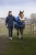 Kurtka do jazdy konnej męska Equithème Michael w kolorze granatowym zaprezentowana przez modela