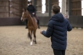 Kurtka jeździecka męska Equithème Michael w kolorze granatowym zaprezentowana przez modela