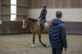 Kurtka jeździecka męska Equithème Michael w kolorze granatowym zaprezentowana przez modela