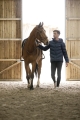Kurtka jeździecka męska Equithème Michael w kolorze granatowym zaprezentowana przez modela