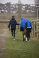 Kurtka jeździecka męska Equithème Michael w kolorze granatowym zaprezentowana przez modela