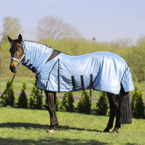 Derka przeciw owadom z kapturem w kolorze niebieskim York