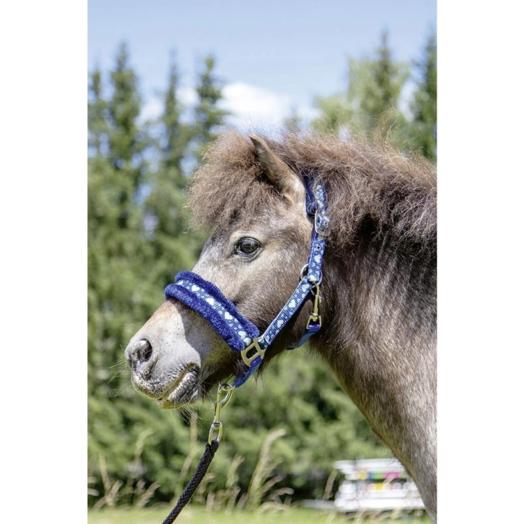 Kantar z futerkiem HKM Heart w kolorze blue na koniu