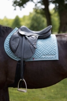 B VERTIGO czaprak PURE rosemary 24H