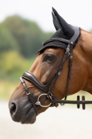 HKM nauszniki DAPHNE black