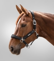 WALDHAUSEN kantar BREATH black