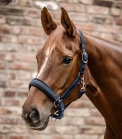 WALDHAUSEN kantar BREATH night blue