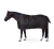 Derka padokowa 200g Horze Pegasus w kolorze caviar