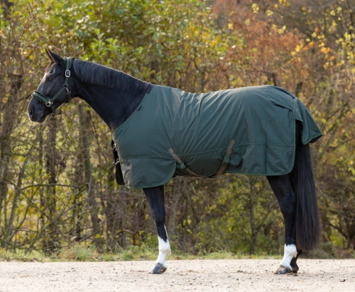 Derka padokowa 1680D/100g Covalliero w kolorze opal green na koniu