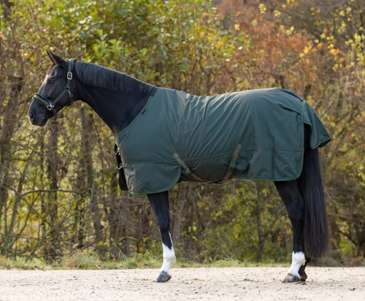 Derka padokowa 1680D/100g Covalliero w kolorze opal green na koniu