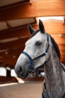 HORZE kantar DELEMONT deep sea blue 24H