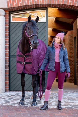 Derka 100g padokowa Horze Newbridge w kolorze purpurowym na koniu