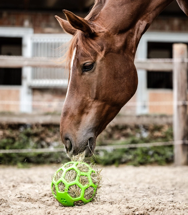 Kula na siano dla konia Waldhausen Hay Ball w kolorze zielonym