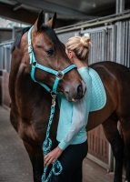 SCHOCKEMOHLE kantar MEMPHIS II aqua sea 24H