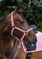 Kantar i uwiąz dla konia Schockemohle w kolorze różowym