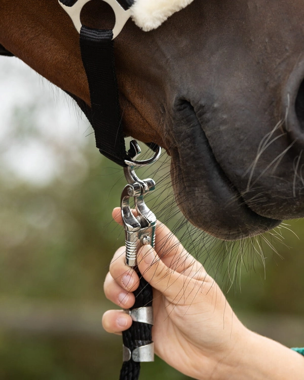 Uwiąz z bezpiecznym karabińczykiem QHP Antipanic