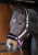 Kantar dla konia Harry's Horse Lyrics Quotes w kolorze fioletowym