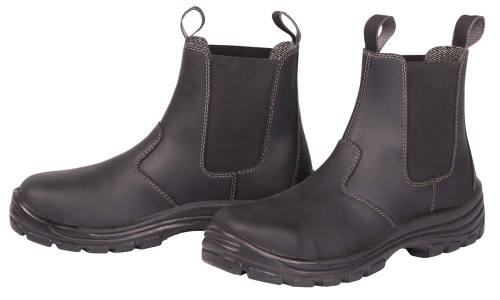 Buty do stajni ze stalowym noskiem Harry's Horse