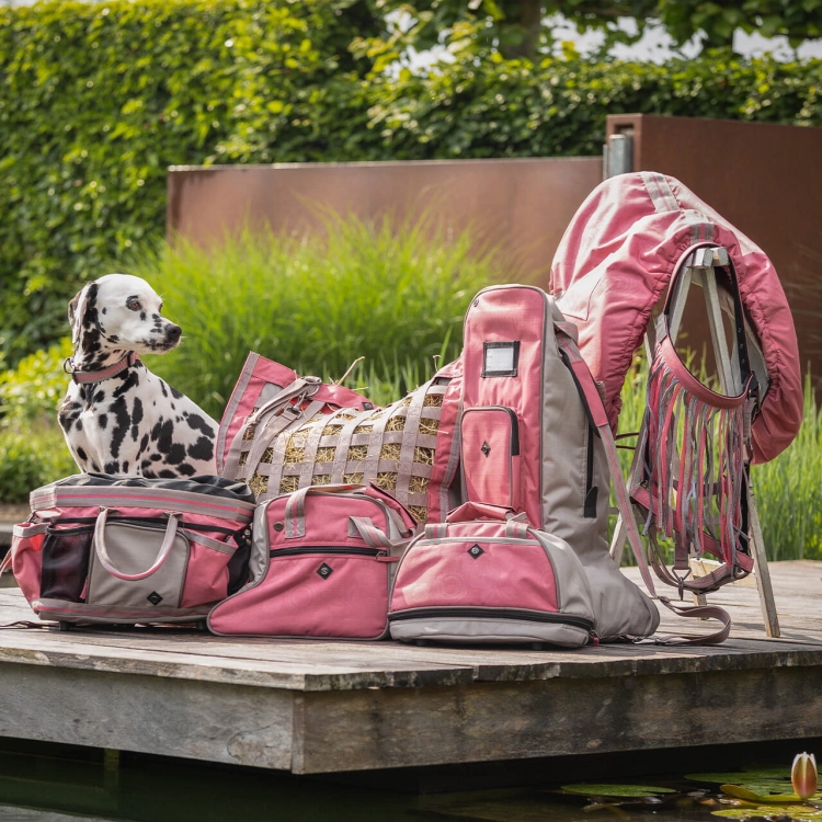 Akcesoria i sprzęt jeździecki w kolorze flamingo pink QHP Collection SS25