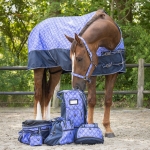 QHP derka 0g COLLECTION purple sunset 24H