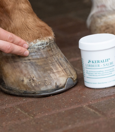 Maść laurowa do kopyt Keralit Lorbeer 300ml