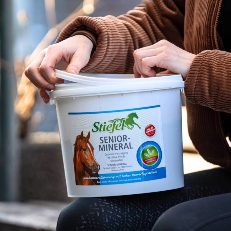 Mieszanka uzupełniająca dla starszych koni Stiefel Senior Mineral 3kg