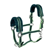 YORK kantar BENNY zielony