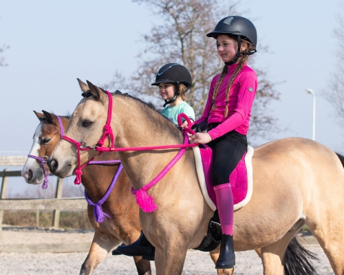 Cordeo do jazdy bez ogłowia w kolorze fuchsia QHP