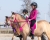 Cordeo do jazdy bez ogłowia w kolorze fuchsia QHP