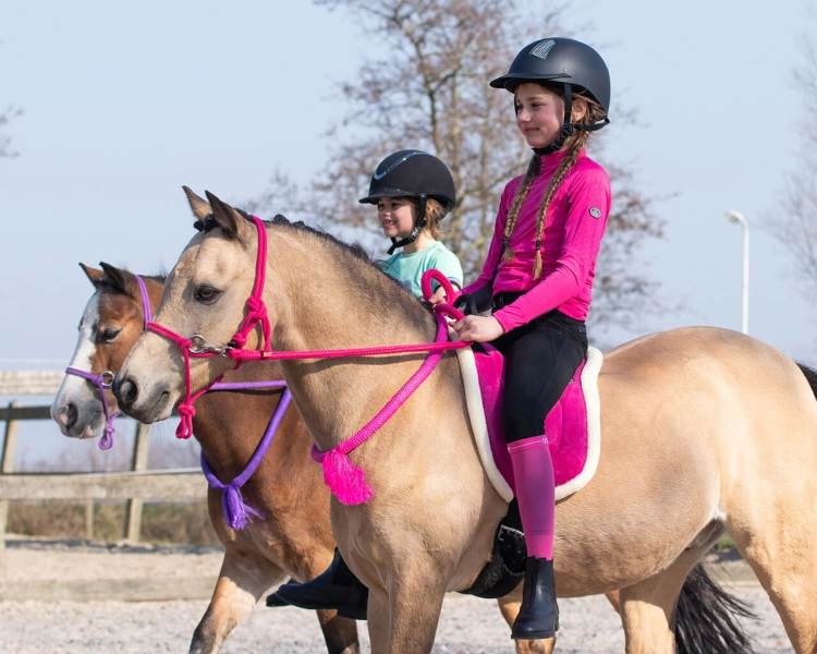 Cordeo do jazdy bez ogłowia w kolorze fuchsia QHP