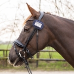 QHP numer startowy SHINE navy