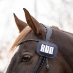 QHP numer startowy MODESTE Square navy