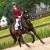 QHP frak letni NOVEN maroon